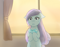 13034