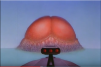 18207