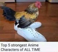 18269