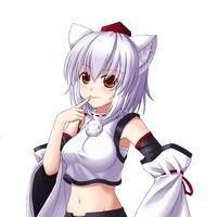 7029