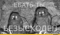 1481