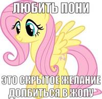 4254
