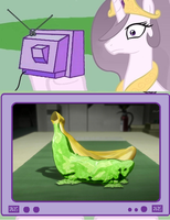 4256