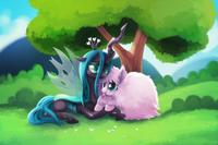 8161