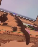 3036 KB
