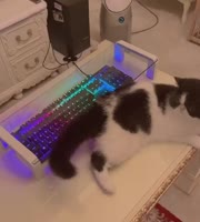 1488 KB