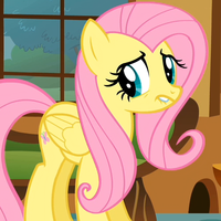 241 KB