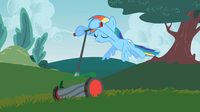 538 KB