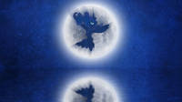 246 KB
