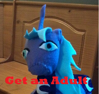 15579