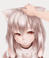 13644