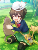17355