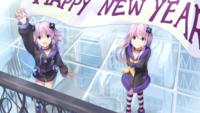 17206