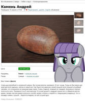 16460